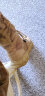 自由兵登山鞋户外新式徒步鞋男女沙漠靴战防水透气户外鞋 风暴二代四季款 40 实拍图