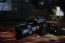 索尼（SONY） ILCE-7RM5 全画幅微单数码相机 双影像画质旗舰 （ILCE-7RM5/A7R5/A7RM5）打鸟 FE24-50F2.8 套装 官方标配 实拍图