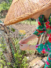 隽燕飞妈妈棉绸睡衣女夏季薄款长袖套装凉感中老年人家居服夏天女装绵绸 【瞬间凉感】3152碧海之蓝 3XL 实拍图
