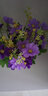 绿秀 仿真花套装假花摆件塑料花含花瓶花束仿真植物盆景餐桌装饰花 圆杯/铃铛草紫色 含塑料盆 实拍图