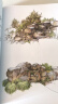 夏克梁手绘景观元素 置石篇 实拍图