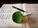 六品堂 簪花小楷钢笔字帖成人练字帖 硬笔书法临摹练字贴中小学生楷书字帖国学经典（套装10册） 实拍图