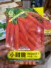 凤鸣雅世手指迷你小胡萝卜种籽四季蔬菜种孑菜籽菜种小脆甜胡萝卜种子10克 实拍图