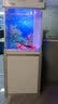 森森（SUNSUN）鱼缸水族箱含鱼缸客厅大型玻璃缸办公室龙鱼生态缸自循环水族箱 时尚款底滤0.6m长 36宽 靠墙(黑白灰) 实拍图