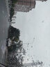 CARSATAN车魔雨刮大众迈辉速腾朗逸途观安锐宝来捷达高尔夫雨刮器雨刷胶条 新朗逸（13-15） 经济实用型 实拍图