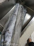 渔吻【超厚四指宽】带鱼段刀鱼段 冰鲜冷冻大带鱼中段带鱼礼盒鱼 中秋 【3斤】带鱼礼盒 3-5条 实拍图