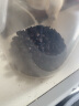 泰摩栗子C手摇磨豆机 手动咖啡豆研磨机 便携咖啡机磨粉机 实拍图