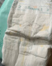 帮宝适(Pampers)一级帮纸尿裤L33片（9-14KG）大码尿裤尿不湿 实拍图