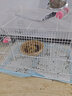 威毕兔笼兔子笼大号荷兰猪侏儒室内养宠物豚鼠刺猬小型松鼠笼子专用 白色特大号-8件套 实拍图