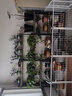 金羡花架阳台实木多层多肉绿萝室内花架子大盆景落地式铁艺花盆架带轮 四层长80*宽30*高180黑架+碳烤木 实拍图