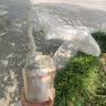 对节白蜡盆景老桩熟桩京山阳台庭院悬挂悬崖式提根邻水造型树包活 乳白色 带盆栽好 实拍图