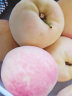 京愿 新鲜水蜜桃 毛桃脆甜桃子 红不软 当季孕妇生鲜水果 9斤装（净重8.5-9斤） 实拍图