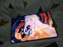 三星 Samsung S10 Ultra 14.6英寸平板电脑/AI智享学习办公/含S Pen 12GB+512GB 星耀银WIFI 实拍图