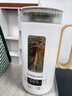 格来德 （Grelide） 养生壶桌面电水壶养生杯电热杯电煮杯小型便携式家用防爆耐高温玻璃小功率烧水壶G105E 乳白色 0.55L 实拍图