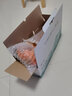 墨谦适用惠普HP LaserJet CP1025 color硒鼓1025nw粉盒彩色打印机墨盒碳粉 CE310A/CF350A成像鼓【14000页】 实拍图