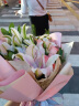 欣尚 鲜花速递红玫瑰花束送老婆女友生日礼物全国同城配送 19朵戴安娜+2支粉百合韩式花束 实拍图