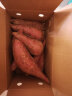 六鳌红薯 蜜薯烤地瓜 2.5kg 8-12根/箱  新鲜蔬菜 健康轻食 福建农特产 实拍图