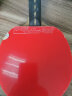 红双喜DHS 狂飙8套胶 狂飚8 内能乒乓球拍胶皮 红色40度2.2 实拍图