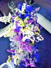 爱满云南勿忘我干花鲜花摆件客厅装饰真花插花满天星花束节日生日搭配 紫粉黄勿+草 约30支 实拍图