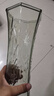 呈爱透明玻璃花瓶简约加高贵竹百合水培绿萝植物富花瓶客厅插花摆件 加高30cm六角（郁金香图案） 高30厘米 实拍图