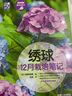 绣球12月栽培笔记 实拍图