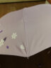 天堂天堂伞内层银胶防晒太阳伞遮阳伞三折折叠晴雨两用伞336T银丝印 紫色（银胶款336银丝印） 8骨 实拍图