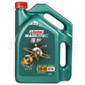 嘉实多（Castrol）【包安装】汽车小保养套餐 机油+机油滤清器+含工时 磁护致悦版全合成 5W-40 SP 4+1L 实拍图