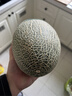 【产地直采】新疆西州蜜瓜25号单粒2kg 实拍图
