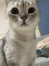 弗列加特猫主粮烘焙猫粮鲜肉粮Fregate 85%高鲜肉烘焙粮 全价鲜肉烘焙猫粮 【磷虾油美毛】鸡肉配方1.8kg 实拍图