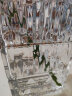 盛世泰堡 玻璃花瓶透明水养植物插花瓶富贵竹百合玫瑰水培容器大花瓶客厅桌面摆件 卢索透明款 实拍图