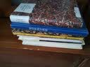 文学名著·译文名著精选：包法利夫人 实拍图