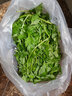 旷古农业艾草新鲜 艾草叶嫩艾蒿 青团蒿子粑粑清明果蔬菜食材 健康轻食 1kg（2斤） 实拍图