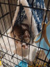 迪熊先生 猫笼平台垫脚垫吊床猫笼用品 600#三层配套帐篷猫窝+平台垫 晒单实拍图