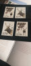 四地收藏品  T字头邮票 T121-T144 套票 邮票 收藏 T132 麋鹿（有齿） 套票 邮票 实拍图