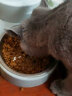 皇家（ROYAL CANIN）幼猫猫粮奶糕 BK34通用粮1-4月离乳期 助免疫亲肠胃助消化 【多包钜惠】2kgX2 实拍图