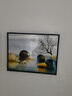 柳莺花燕免打孔电表箱装饰画现代简约客厅餐厅挂画电闸箱配电箱遮挡壁画 福禄双至 45X35遮挡35X25表箱 上掀款 实拍图