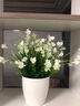 小清新中式蝴蝶兰花艺仿真花套装 客厅假花设计绢花玄关装饰摆设餐桌茶几摆件家居装饰品 白色蝴蝶兰+特大号仿陶花瓶 实拍图