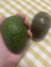 橙小士进口牛油果水果墨西哥秘鲁巨无霸鳄梨应当季宝宝水果辅食 中果两粒装 单粒130-160【g】 实拍图