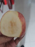 安绿源 陕西白水苹果 9枚90mm 以上大果 总重约3.5kg 新鲜脆甜红富士苹果 晒单实拍图