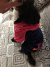 派可为（TOM CAT）狗狗衣服小狗博美比熊泰迪犬中小型犬四脚衣宠物猫咪秋冬装情侣服 粉色mama 冬款 单件 L 实拍图