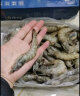 【现货】三都港 宁德大黄花鱼海鲜礼盒1.8kg（4条装) 生鲜 海鲜水产 年货礼盒 实拍图