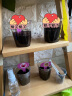 IAM City Farmer科学种植实验盒 小学生科学diy盆栽组合 植物观察窗暑假礼物10030 实拍图