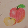 美学《美食绘》彩铅入门教程彩色铅笔画自学绘画临摹零基础教材书籍新手少儿手绘技法教学成人画画崔涛绘 实拍图