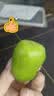 泰汇吃【顺丰直达】丹东龙城2号软枣猕猴桃 东北软枣小猕猴桃迷你奇异莓 4.8斤大果（15-30g）长果更好吃 实拍图