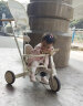 乐卡（Lecoco）儿童多功能三轮车宝宝脚踏车平衡车轻便遛娃神器 沃克s3max- 奶白咖 晒单实拍图