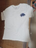 索菲堡 100%新疆棉2024新款夏季短袖t恤女宽松百搭设计感ins上衣潮男 白色（蓝图） M 实拍图