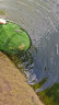 臻佑（Grsaed）竞泽5.4米鱼竿超轻超硬碳素钓鱼竿手竿台钓竿鲤鱼杆鲫鱼竿渔具  实拍图