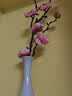 掬涵中式仿真梅花枝腊梅假花干花桌面中古风冬梅家居客厅玄关装饰摆件 仿真梅花枝小枝3支（玫色） 实拍图
