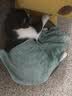 富力鲜泰国进口富力鲜猫罐头顽皮猫零食白身鲔鱼牛肉鲑鱼猫咪零食成幼猫 顽皮白身吞拿鱼鲔鱼 85g*24罐 实拍图
