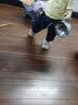 巴布豆儿童拖鞋男女童宝宝洞洞鞋婴幼儿室内居家凉拖鞋小童防滑沙滩鞋 米白 巴布豆正版授权 22 内长13.5cm 适合脚长13-13.5cm 实拍图